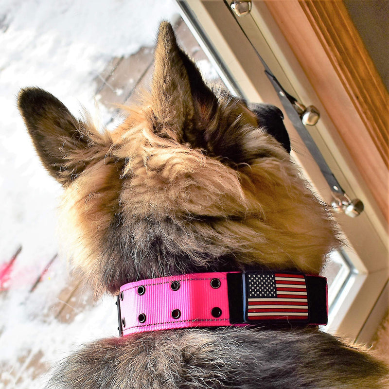 [Australia] - Diezel Pet Products Dog Collars K9 Harness Tactical Military Style - 2" Two Inch Wide Heavy Duty Thick Nylon Webbing for Strong Large XL Big Dogs - Metal Two Pin Belt Buckle - USA American Flag Patch 12"-20" PINK 