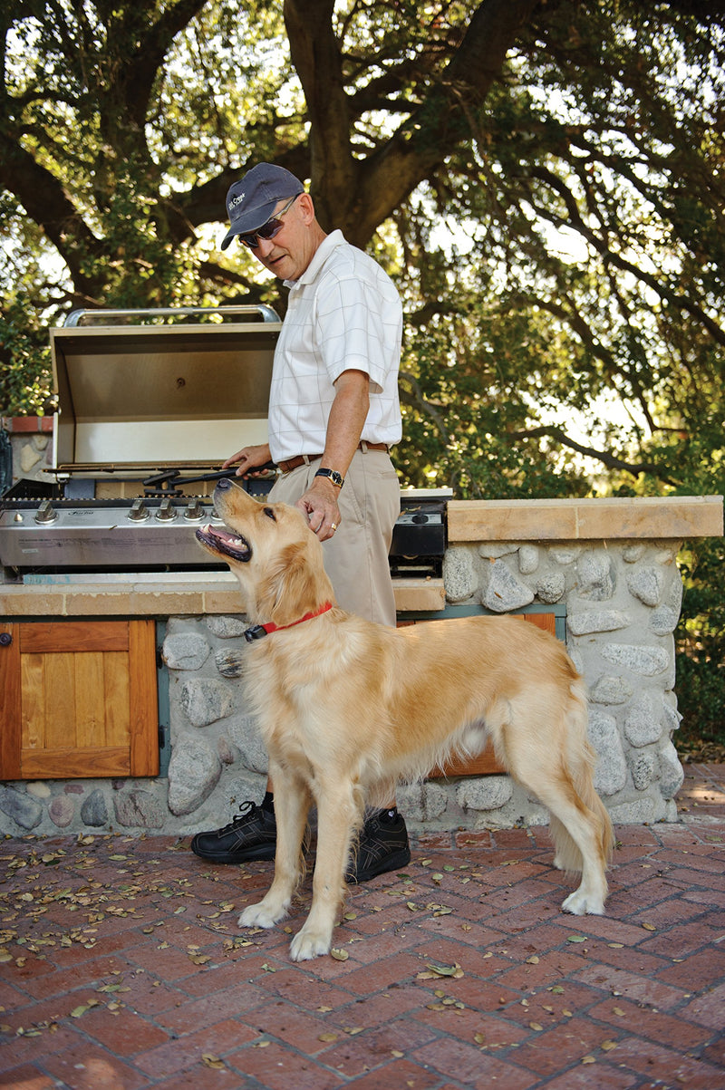 [Australia] - PetSafe In-Ground Fence for Dogs and Cats over 8 lb - from the Parent Company of INVISIBLE FENCE Brand - Includes Lightweight Waterproof Collar with Tone and Static Correction Deluxe Ultralight Collar Only 