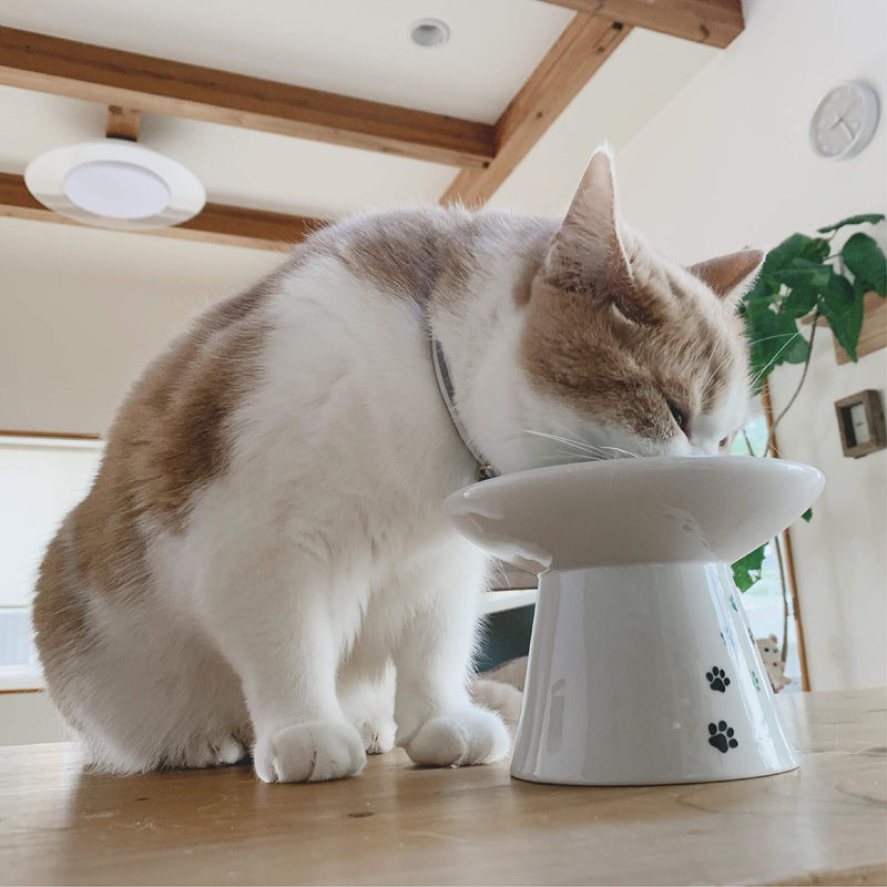 Extra Wide Raised Cat Food Bowl, Elevated Cat Bowl, Dishwasher Safe, Prevent Whisker Fatigue (Cat) - PawsPlanet Australia