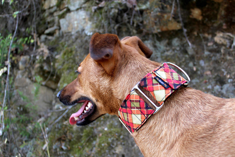 candyPet Martingale Dog Collar - Scottich Model - Multicolor - M - PawsPlanet Australia