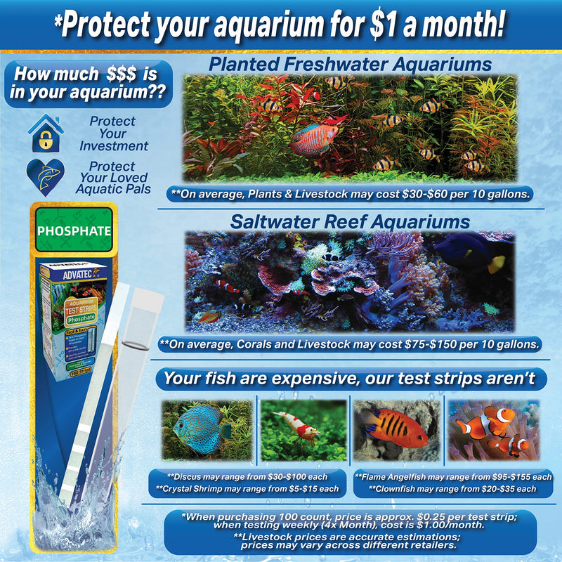 Phosphate Aquarium Test Strips - for Fresh/Salt Water Aquariums, Lab Grade, for Professional Or Home Use - Fast & Accurate Results! (100 Count) 100 Count - PawsPlanet Australia