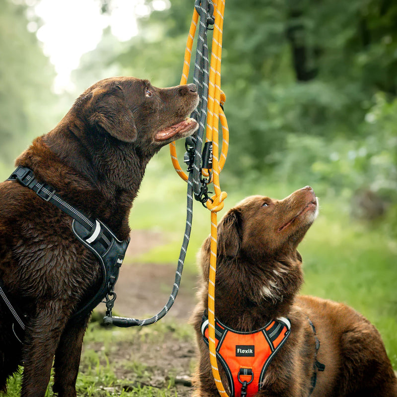 Floxik Premium Dog Lead | Dog leash 3m adjustable - rope leash for small and medium-sized dogs - robust and stylish in gray or orange 3m | ø 12mm - PawsPlanet Australia