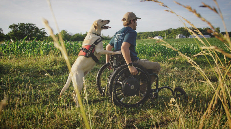 [Australia] - Industrial Puppy Service Dog Vest with Hook and Loop Straps and Handle - Harness is Available in 8 Sizes from XXXS to XXL - Service Dog Harness Features Reflective Patch and Comfortable Mesh Design Large, Fits Girth 27-33.5" Bright Red 