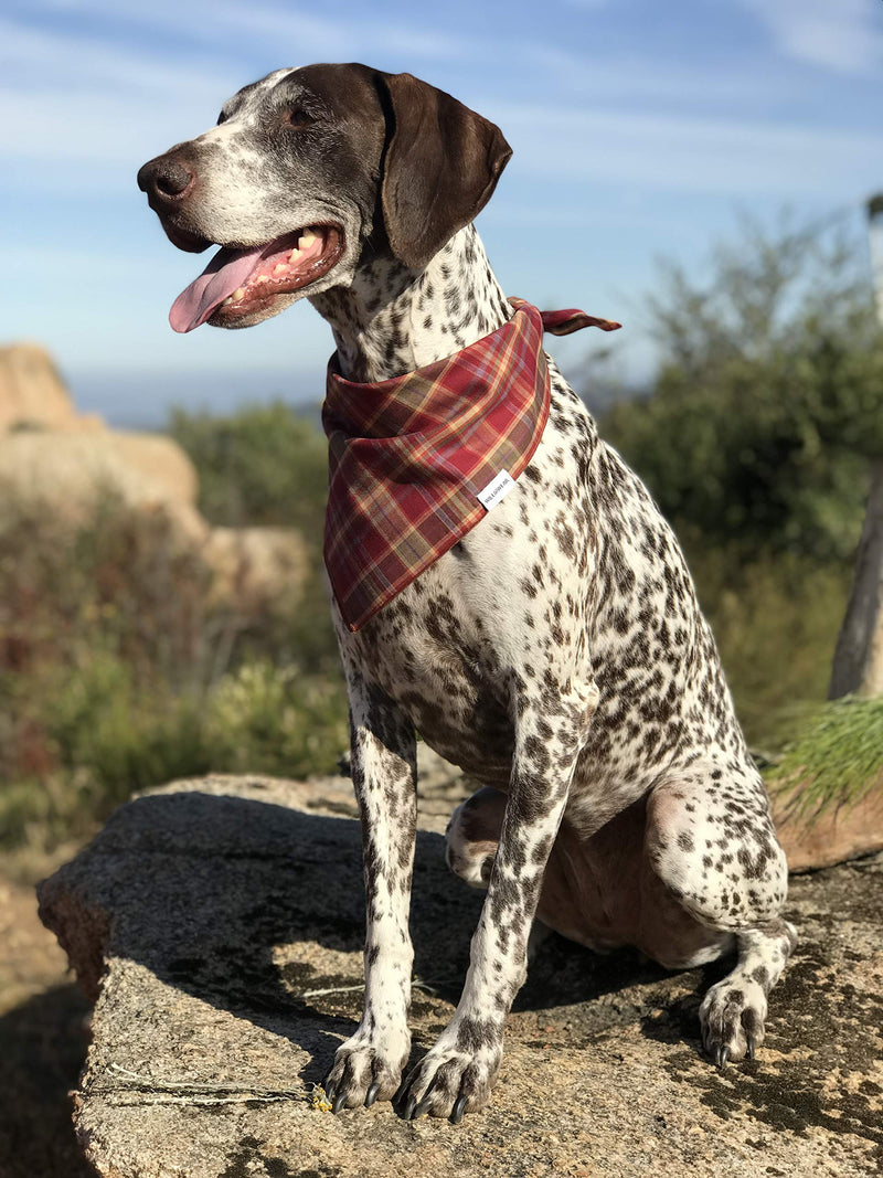 [Australia] - Willowear Plaid Puppy Dog Bandanas Designer Style Accessories for Everyday Adventures Xlarge Sienna 