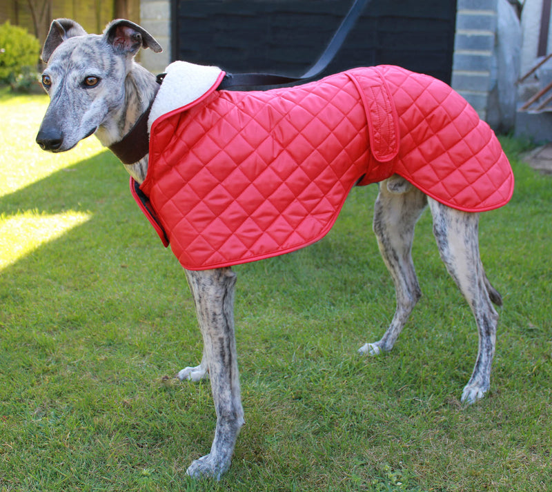 Cosipet Greyhound Anorak Nylon Coat, 46 cm, Red - PawsPlanet Australia