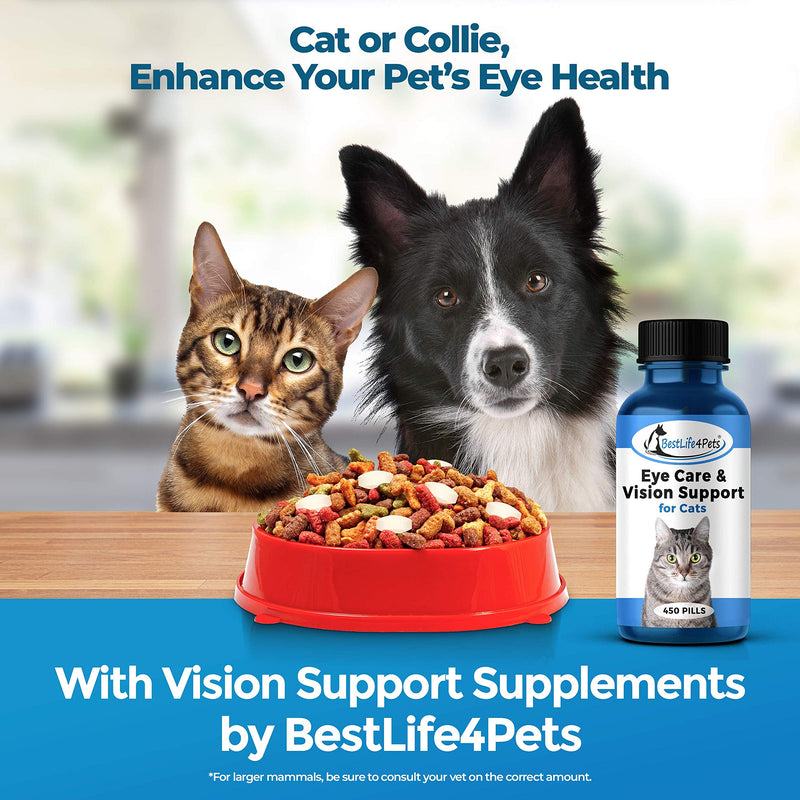 Eye Care and Vision Support for Cats - Holistic Kitten Eye Infection Treatment Helps with Conjunctivitis, Swelling, Discharge and More - 450 ct. Easy to Use Pills Relieve the Cat Eye Drops Struggle - PawsPlanet Australia