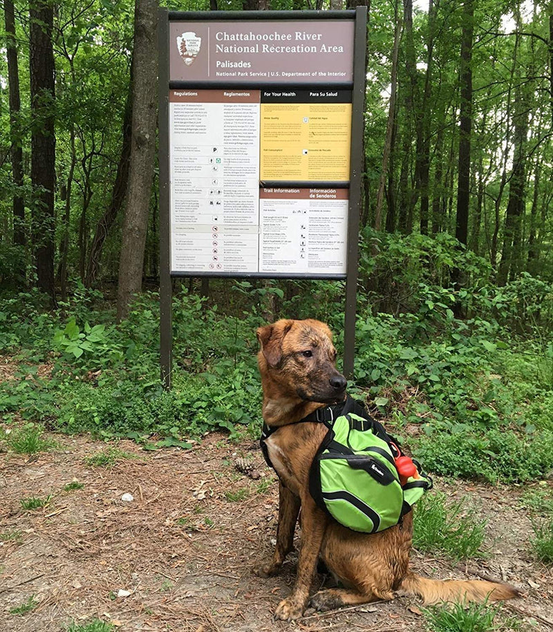 [Australia] - Pettom Dog Saddle Backpack 2 in 1 Saddblebag&Vest Harness with Water-Resistant for Backpacking, Hiking, Travel, for Small, Medium & Large Dogs Red 