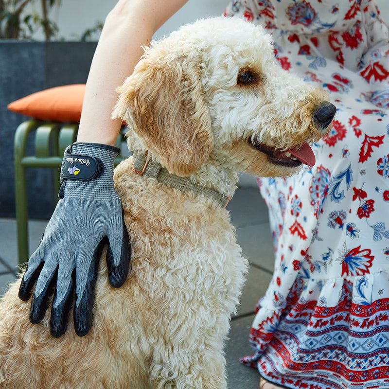 Bella & Balu Pet Grooming Glove | Pair of gloves for grooming for cats, dogs and horses | Cat glove for removing excess dog and cat fur - PawsPlanet Australia