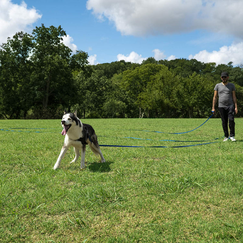 Hi Kiss Dog/Puppy Obedience Recall Training Agility Lead - 15ft 20ft 30ft 50ft 100ft Training Leash - Great for Training, Play, Camping, or Backyard 15 Feet Black - PawsPlanet Australia