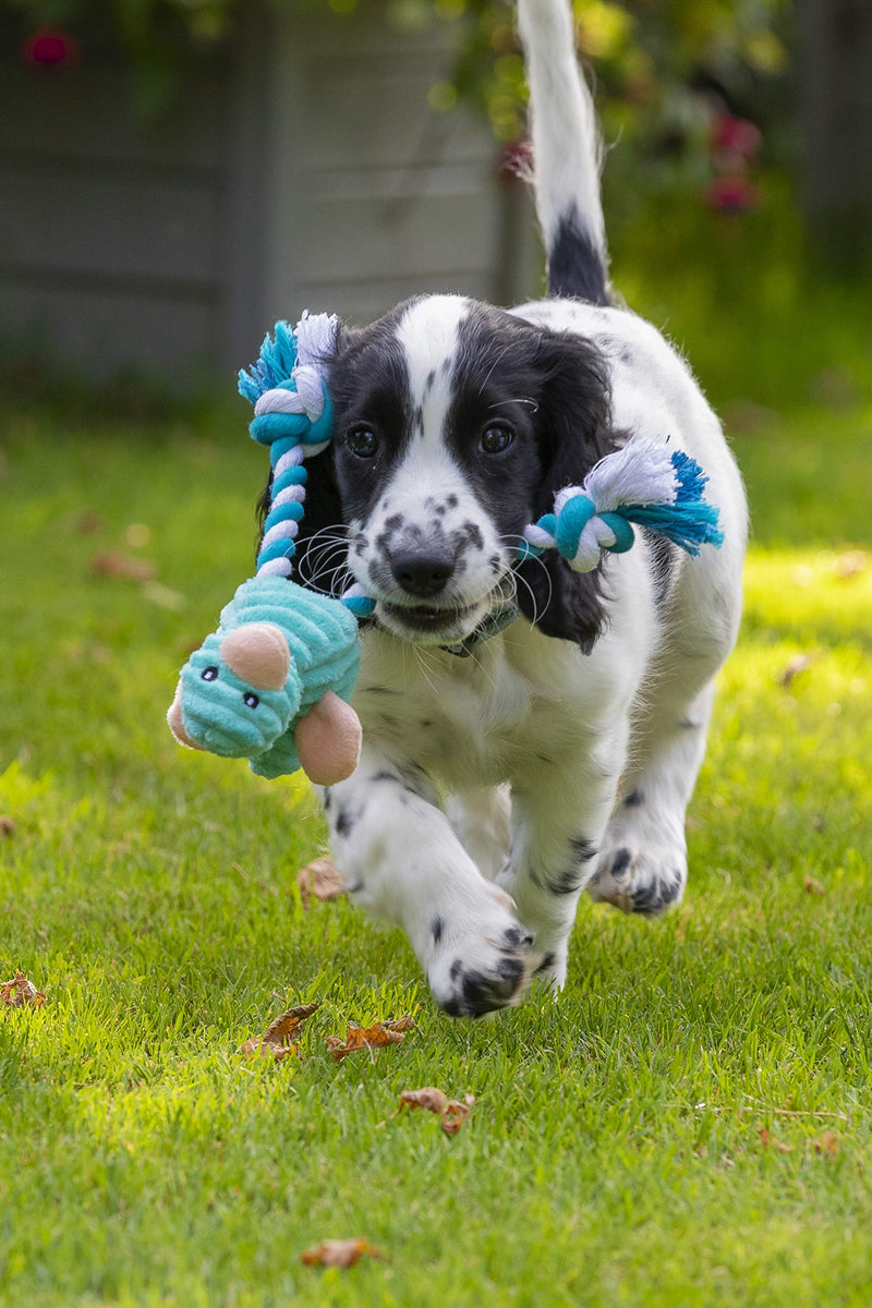 Petface (Little Petface) Cord Long Legs Puppy Dog Toy, One Supplied, Randomly Selected - PawsPlanet Australia