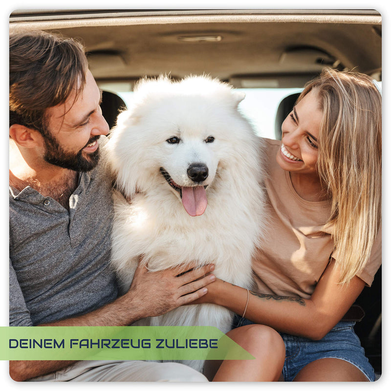 CAREApro ¨ Smart Brush - animal hair remover - quickly and easily remove dog hair - cat hair remover - dog hair remover - upholstery brush Auto green SB-1 - PawsPlanet Australia