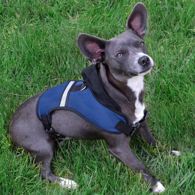 [Australia] - Pets First Texas Tech Harness, Large 