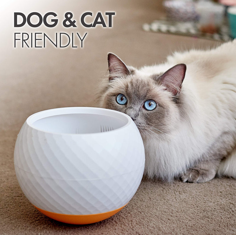 [Australia] - All Fur You Slow Feeder Dog Bowls Wobbler Cat Bowl Fun Feed Slower Eating Puzzle Maze Moving Food Bowls Extra Challenge Promotes Healthy Eating Foraging for Dogs to Slow Down Eating Large and Small Grey 