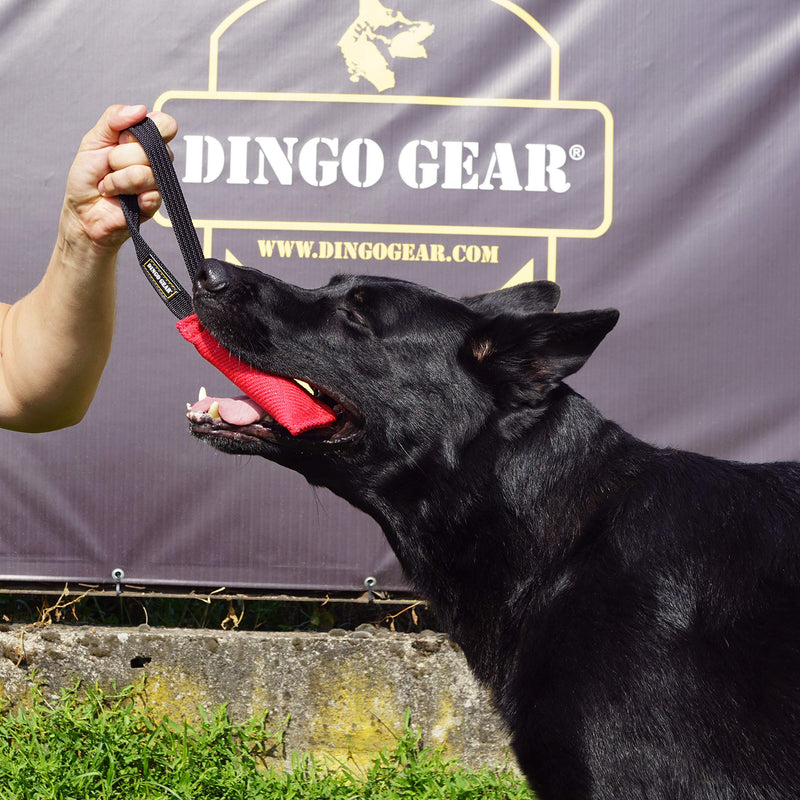 DINGO GEAR Nylcot Bite Tug for Dog Training K9 IGP & Fun, 1 Handle, Black 15 x 5 cm - PawsPlanet Australia