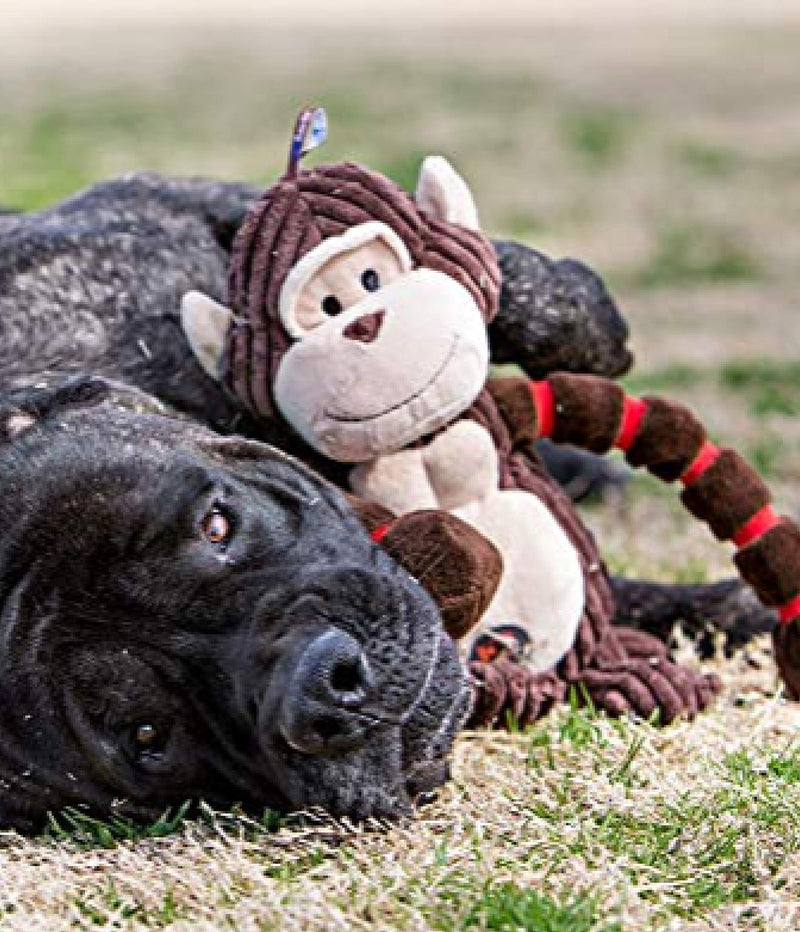 [Australia] - Charming Pet Thunda Tugga Gorilla Plush Dog Toy - Interactive Soft Animal Squeaky Tug Toy 