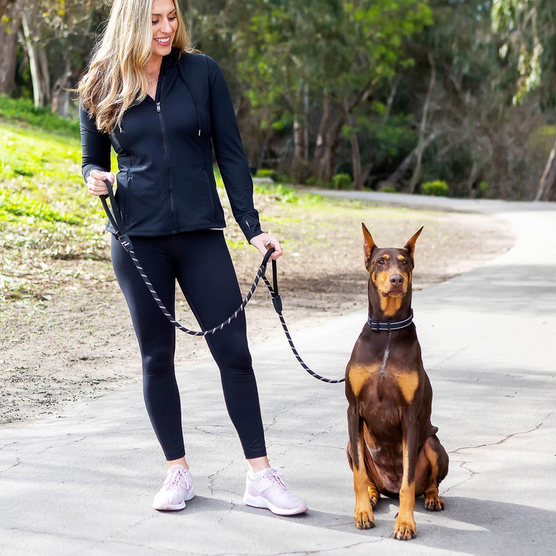 Roam Gear Extra Padded Double Handles, 6ft Long Heavy Duty Reflective Dog Leash with 360 Degree Spring-Loaded Carabiner Hook, Secure Silicone Clamps & O-Ring - Premium Dog Leash for Medium, Large Dogs Black - PawsPlanet Australia