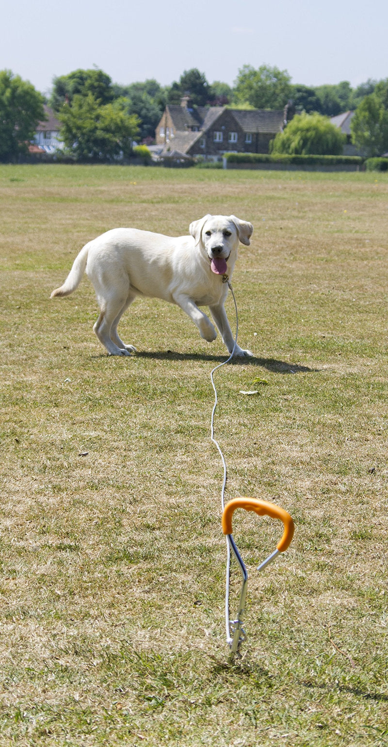 Pet Brands Rac Tie Out Stake and Cable, silver - PawsPlanet Australia