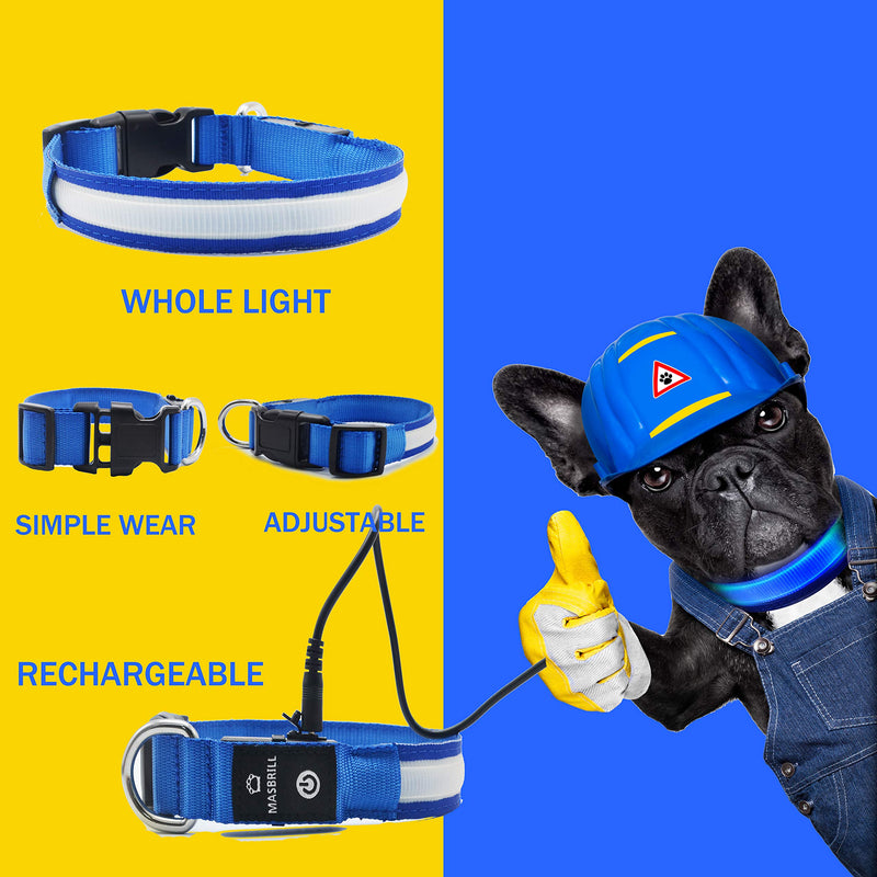 MASBRILL Light Up Dog Collar, LED Glow Collar with USB Rechargeable Lighted Bright Purple Dog Flashing Collar Waterproof, 4 Colors with 3 Sizes for Small Medium Large Dogs S(0.98*15.75") Blue - PawsPlanet Australia