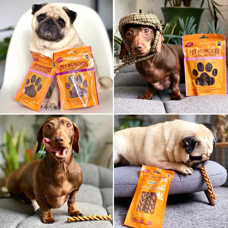 Pet Munchies Chicken Twists Dog Treats, Premium Natural Grain Free Dental Sticks Made Real Meat, Low in Fat and High in Protein 80g 80 g (Pack of 1) - PawsPlanet Australia