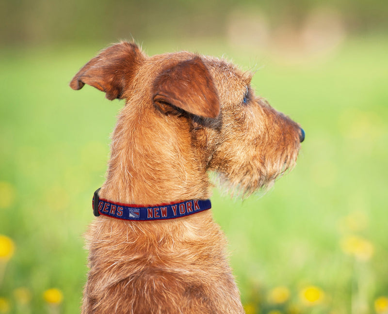 [Australia] - Pets First New York Rangers Dog Collar Large (18 - 28" Length x 1" Width) 