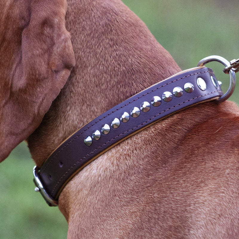 Corspet Full Grain Nappa Leather Dog Collar - Studded Leather Collar with Silver Nickel Plated Hardware | Super Soft Padded Double Sided | Extra Durable for Medium to X Large Dogs | Handmade in the EU Brown - PawsPlanet Australia