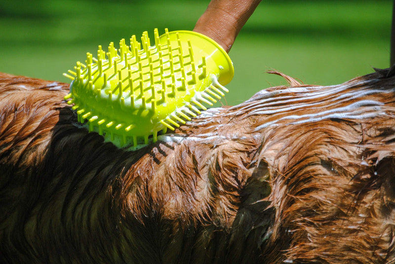 [Australia] - Bark Brite Dual Purpose Dog Paw Scrubber and Bath Brush 