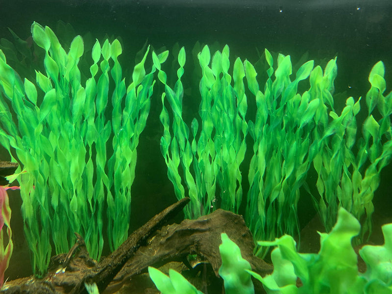 BEGONDIS 14 Pcs Artificial Seaweed Water Plants, Fish Tank Aquarium Decorations, Made of Soft Plastic, Safe for All Fish & Pets Green *14 Pcs - PawsPlanet Australia