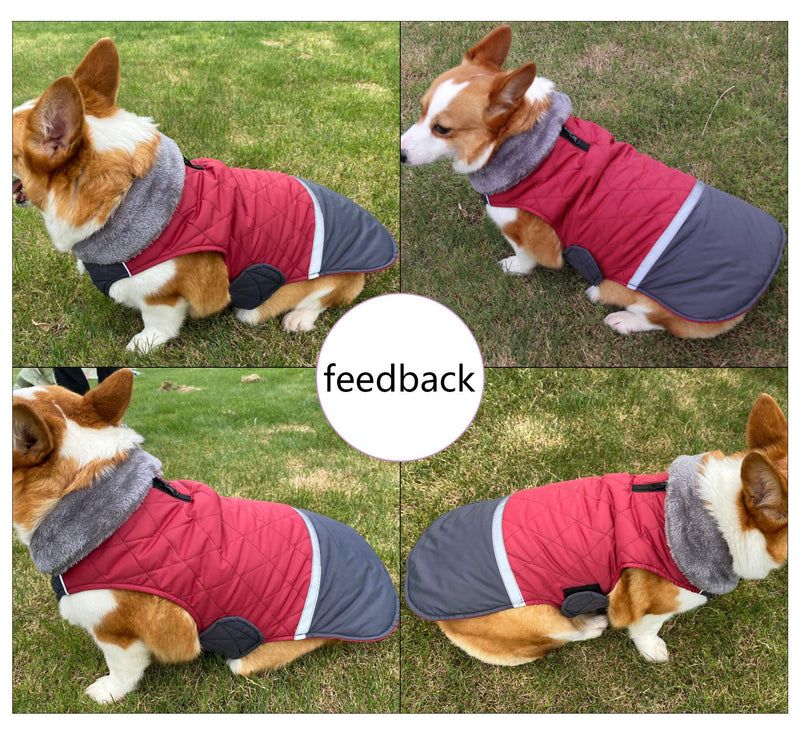 Morezi Dog Winter Reversible Coat, Puppy Waterproof Coat, Windproof Padded Lining Dog Jacket with Reflective Strip for Doggie Small Medium Dogs - Red - S Small (Length 30.5cm) - PawsPlanet Australia