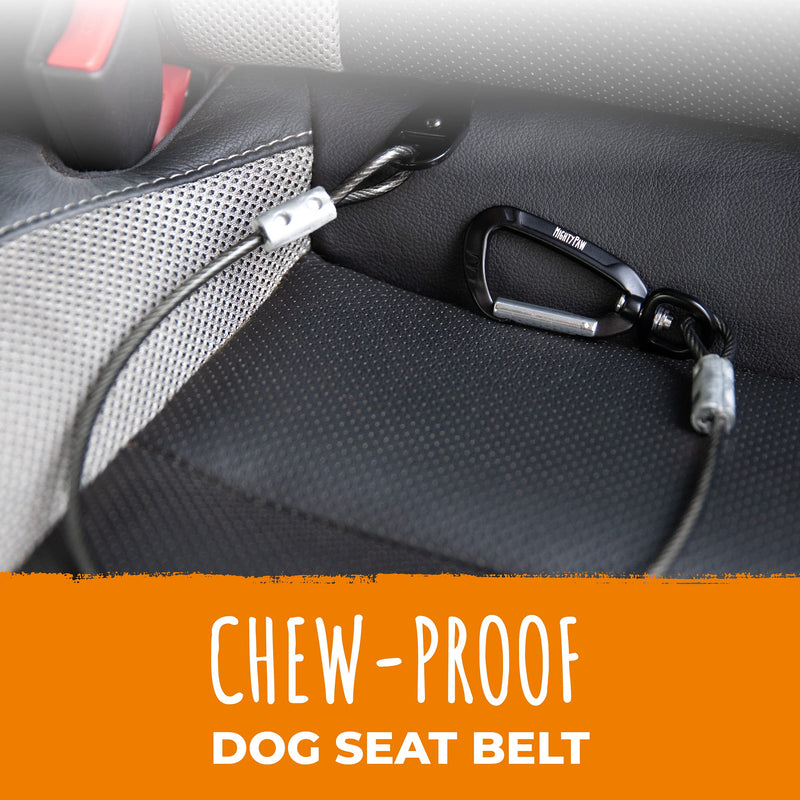 Mighty Paw Chew-Proof Dog Seat Belt - Steel Cable Safety Belt, Steel Braided Cord and Rock Climbers Carabiner Small Black - PawsPlanet Australia