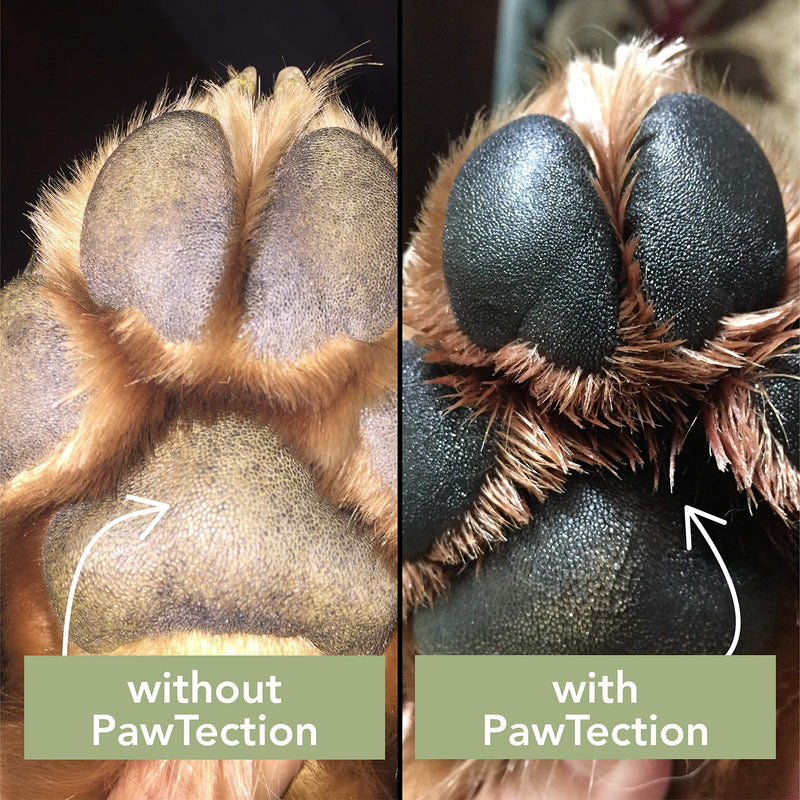 [Australia] - Natural Dog Company PawTection Dog Paw Balm Stick, Protects Dog Paws from Heat, Salt, Snow, Prevents Paw Damage, Organic, All Natural Ingredients 2 OZ 