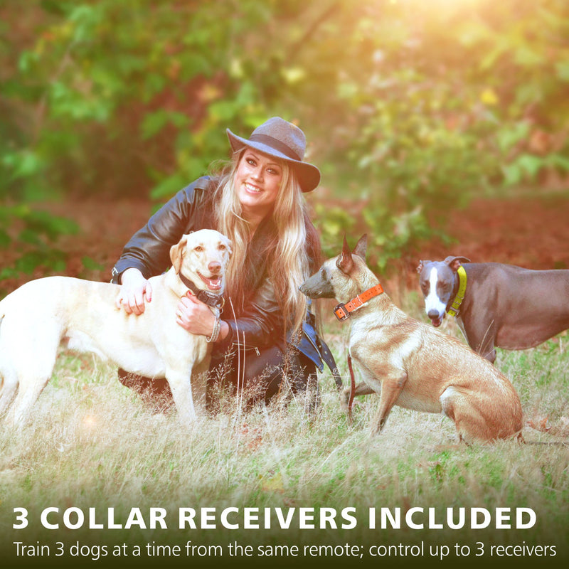 [Australia] - F-color Dog Training Collar, Range 2600ft Dog Shock Collar with Remote Rechargeable Waterproof with 4 Modes Light Beep Vibration Shock Collar for Medium Large Dogs Breed, 3 Pack 