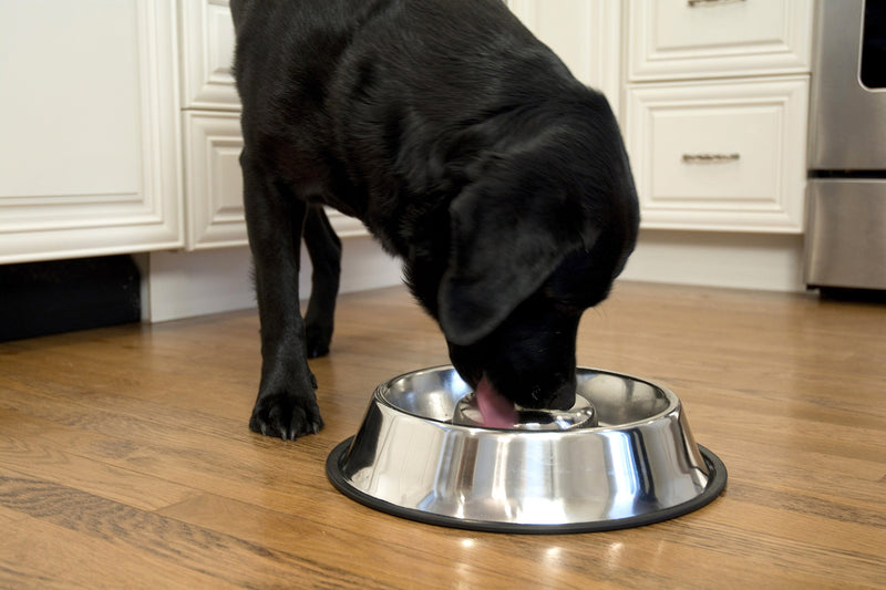 [Australia] - Iconic Pet Set of 2 Stainless Steel Anti-Skid Slow Feed Pet Bowl for Dogs Medium 