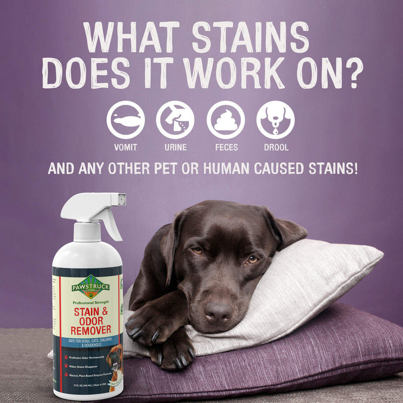 [Australia] - Professional Strength Stain & Odor Remover - Natural Enzyme Cleaner (Bulk 32oz) for Dog & Cat Urine, Waste, Wine, Blood, Vomit, etc. Safe & Effective Pet Smell Eliminator for Carpet, Hardwood & More 