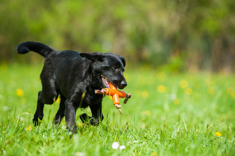 [Australia] - MAJORDOG Dog X Toy, 4", Orange 