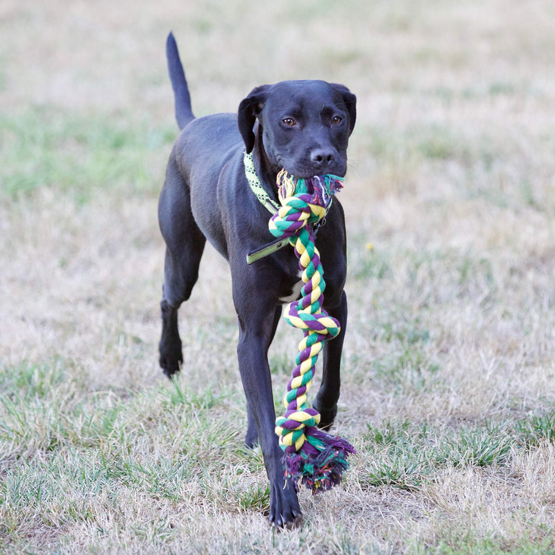 Youngever 4 Pack Dog Rope Toys, Puppy Chew Toys Dog Toys for Medium to Large Dogs - PawsPlanet Australia