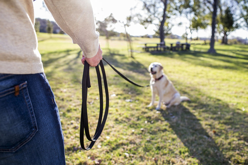 The Company of Animals Recall Line 10m, Lightweight, Soft to hold, Perfect for Recall Training, Chasing, Dog & Puppy Training and Socialisation, Available in Lightweight 5m, 5m and 10m Standard - PawsPlanet Australia