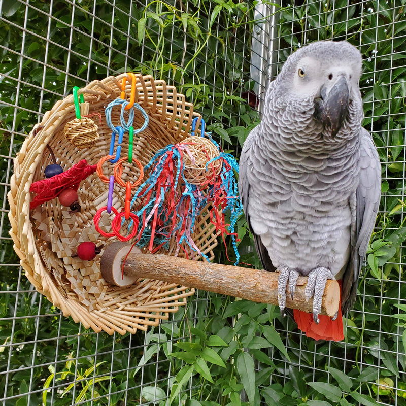 Parrot Essentials Busy Birdie Parrot Perch and Toy Playstation - Colourful Parrot Toy Activity - Encourages Mental, Physical Exercise - Non-Toxic Bird Toys for Budgie, Conure, Macaw, Other Pet Birds - PawsPlanet Australia