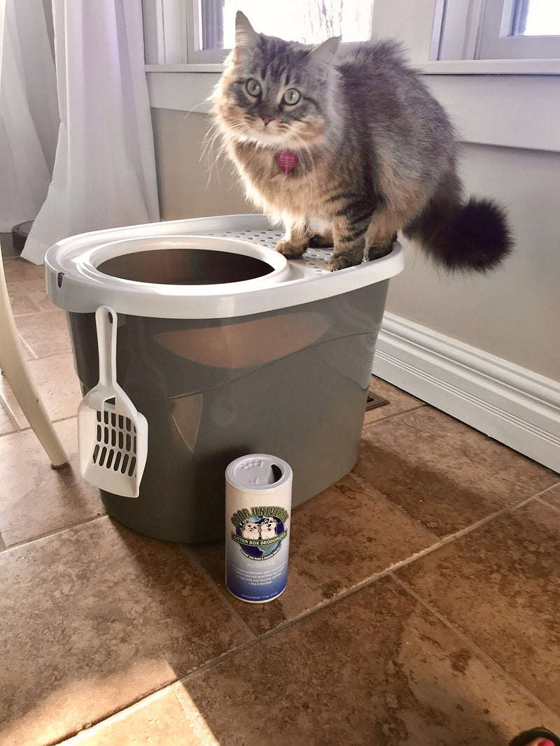 [Australia] - Odor Universe Litter Box Deodorizer Professional Strength Kitty Litter Odor Control and Odor Destroying Powder Non-Toxic and Biodegradable Order Eliminating Granules 11 oz. 