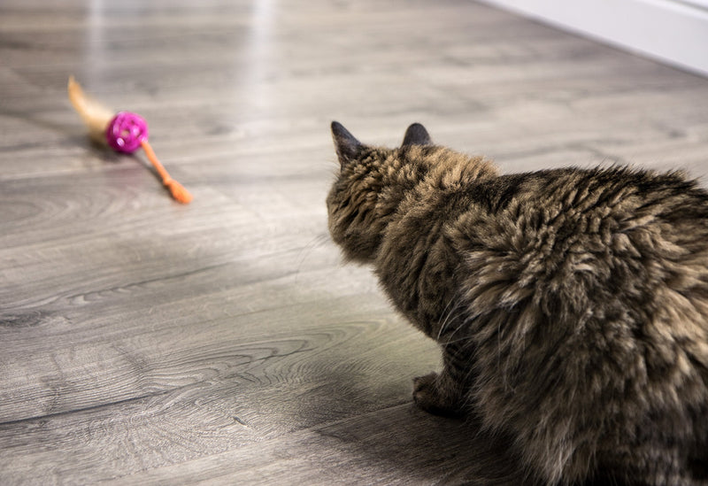 [Australia] - SmartyKat Catnip and Feather Cat Toys Feather Chase 