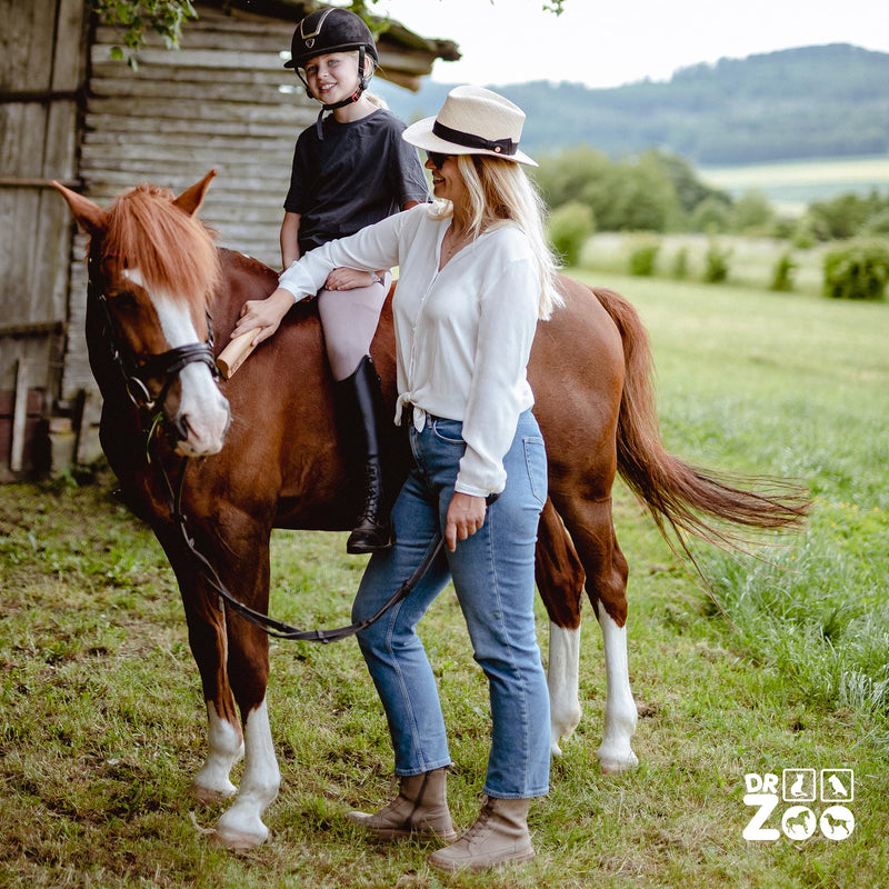DR Zoo horse curry comb Robbi - the fur change helper for your horse - the best curry comb for horses in fur change wood - PawsPlanet Australia
