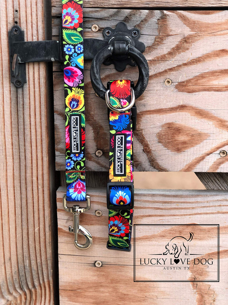 [Australia] - Lucky Love Dog | Multi-Color Dog Leash for Small Medium Large Dogs - Soft, Adjustable, Cute Pet Gear for Male and Female Dogs Blackbird Leash 
