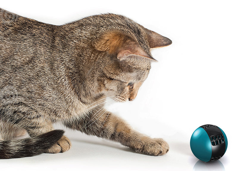 [Australia] - Hugs Pet Products Purr-fect Ball for Cats 