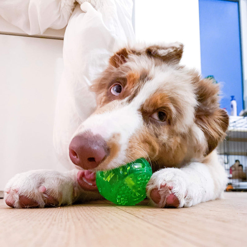 [Australia] - Hyper Pet Dura-Squeaks Ball Dog Toy 