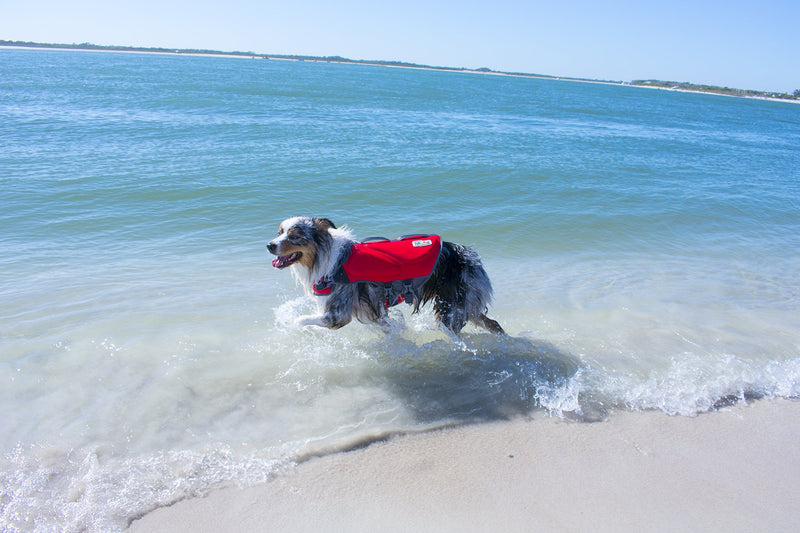 Outward Hound Dawson Dog Life Jacket, Large, Red L - PawsPlanet Australia