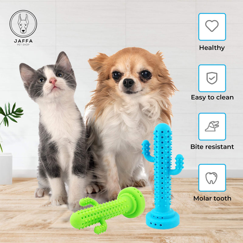 Jaffa Pet Shop Cactus Teething Cat Toy Mint 100% Soft Silicon Interactive Cat Teether Catnip Toy Durable and Soft Bite Resistant Pet Chewable Toy Cat Dental Care Toy with 2 Small Bell and 6 Catnips - PawsPlanet Australia