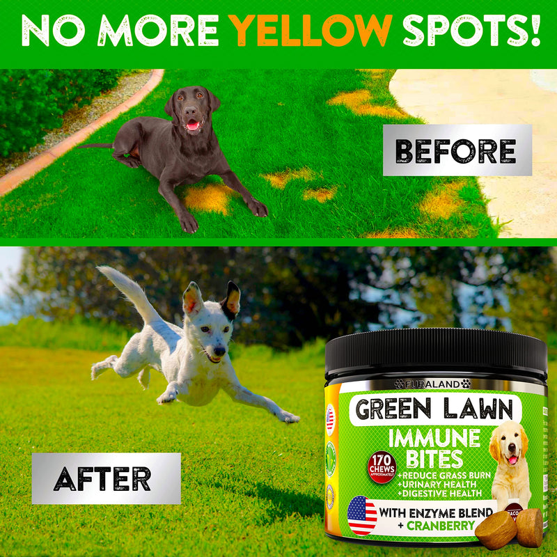 Grass Burn Spot Chews for Dogs - Dog Pee Lawn Spot Saver Caused by Dog Urine - Grass Treatment Rocks - DL-Methionine + Digestive Enzymes - Dog Urine Neutralizer for Lawn - 170 Treats Bacon - PawsPlanet Australia