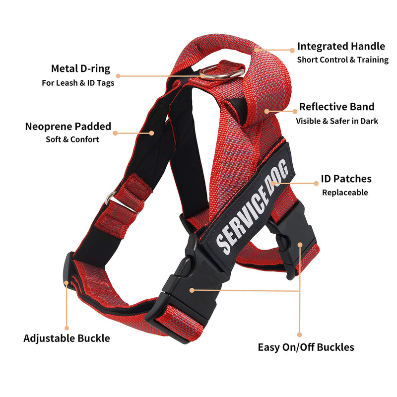 [Australia] - Dihapet Service Dog Vest Harness with Handle, Lightweight Full Adjustable Dog Vest, Neoprene Padded Soft for Summer Outdoor Walk Training L Chest 24-30in Red 