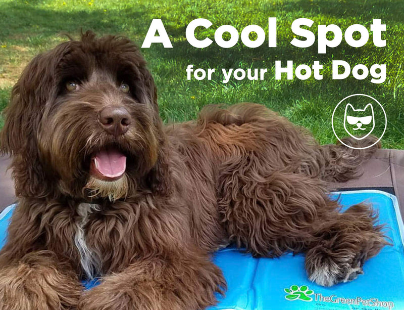 [Australia] - TheGreenPetShop Dog Cooling Mat Cover – Protect Your Cool Pet Pad from Damage – Durable, Easy-Care and Machine Washable Medium/Large 