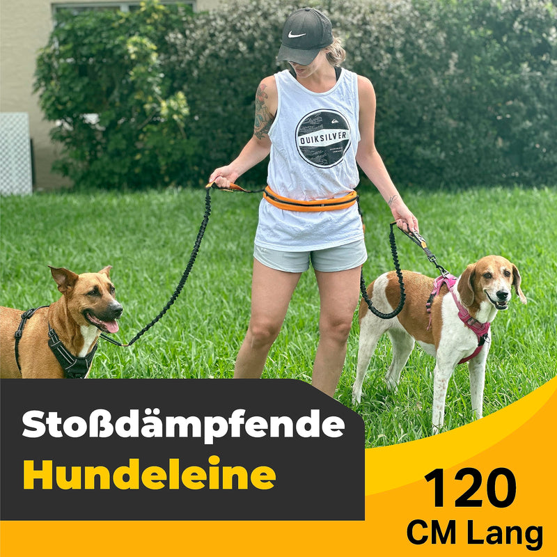 Jogging leash for dogs - Hands-free dog leash for running and hiking - Waist belt dog leash - Elastic bungee leash up to a weight of 60kg Athletic Two dogs - PawsPlanet Australia