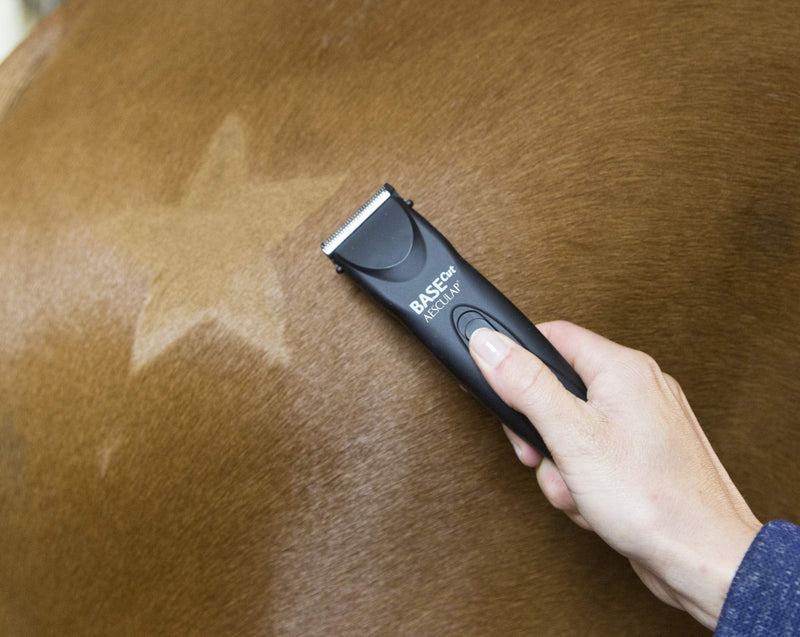 Kerbl 321900 Shearing Stencil for Horses Set of 3 - PawsPlanet Australia